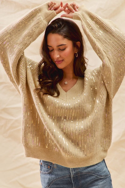 Sequined V-Neck Sweater