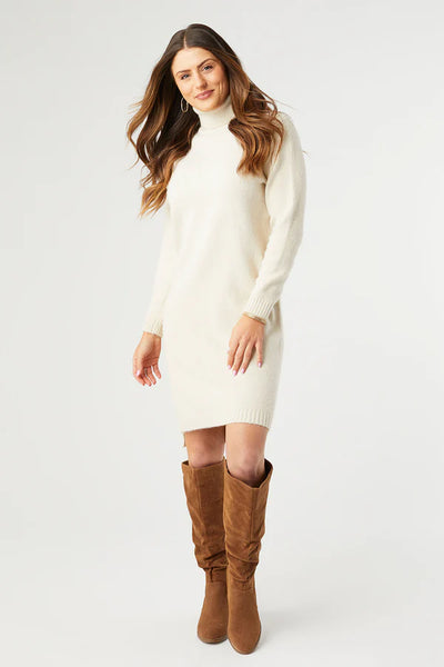 Oatmeal Mock Neck Sweater Dress